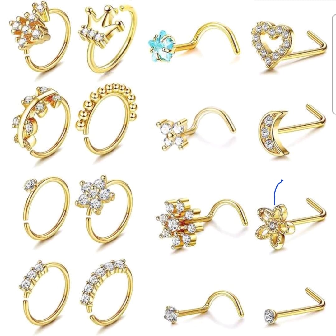 Multi Purpose Nose & Earring Set